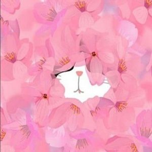 Meet your Posher, Avreal